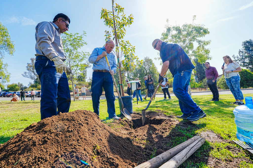 A photo of a group of people planting trees.