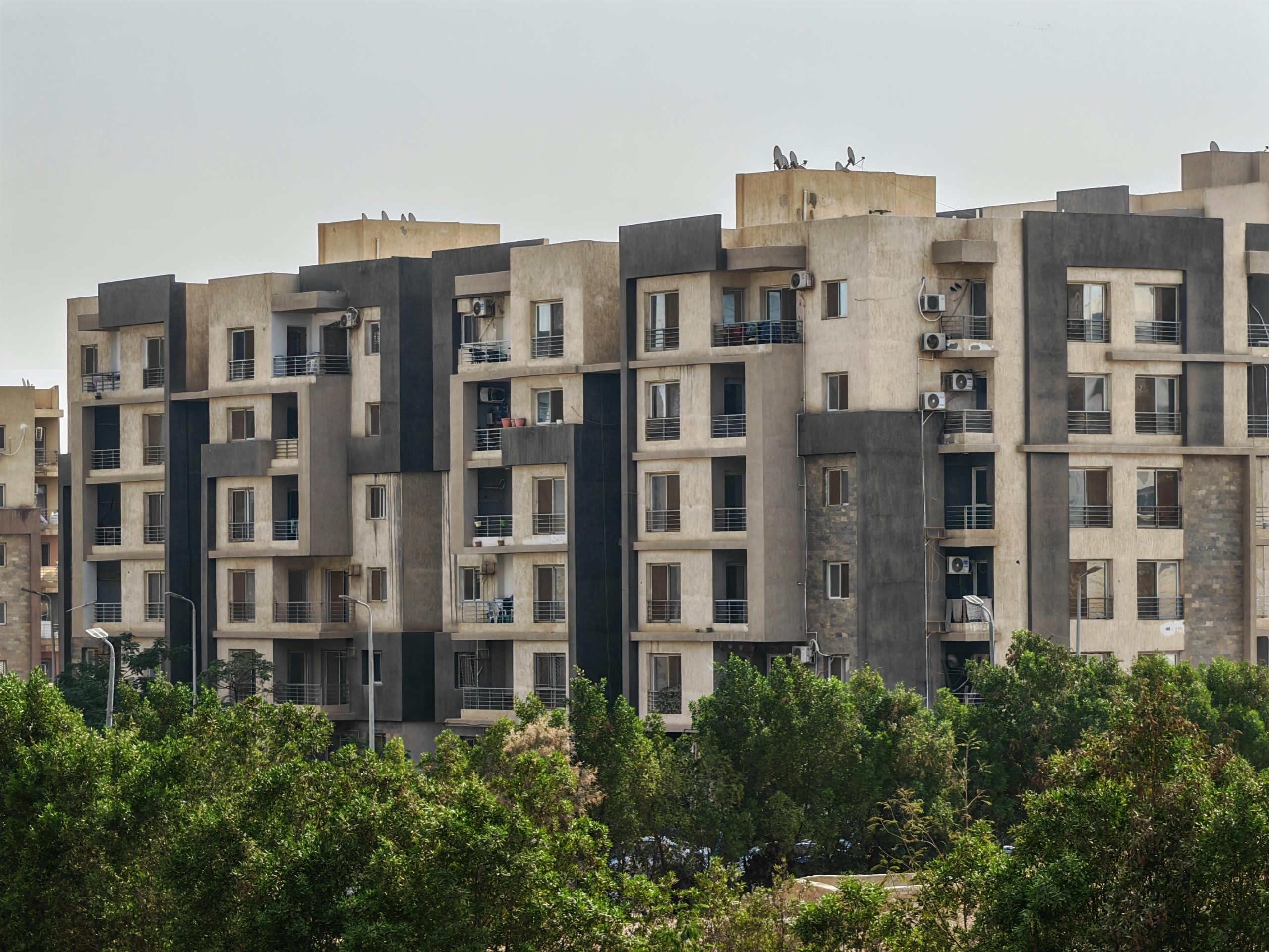 Apartment building rising above trees.